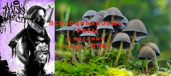 прущая мука Ростов