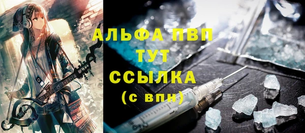 PSILOCYBIN Рославль